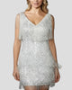 Sleeveless V-Neck Tiered Fringe Mini Dress